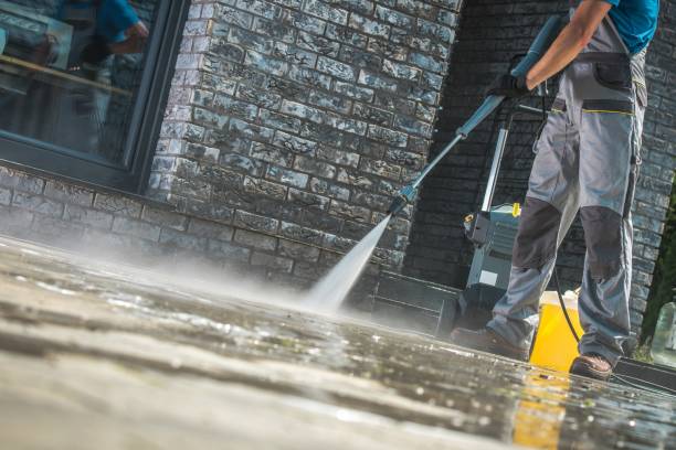 Animal Enclosure Cleaning in Allen Park, MI
