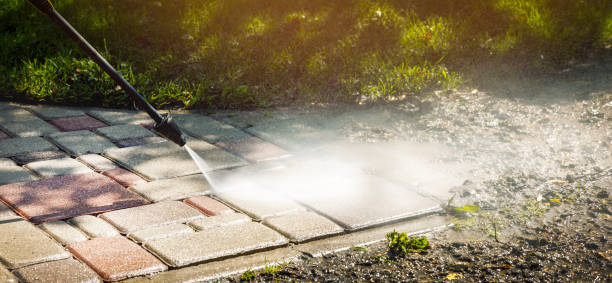 Solar Panel Cleaning in Allen Park, MI