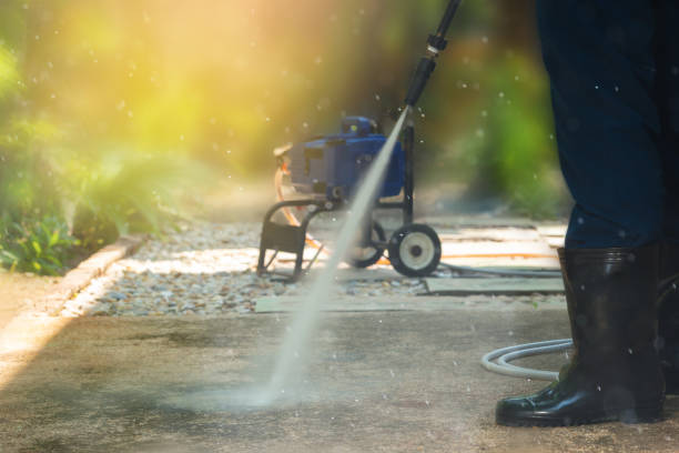 Best Gutter Cleaning  in Allen Park, MI
